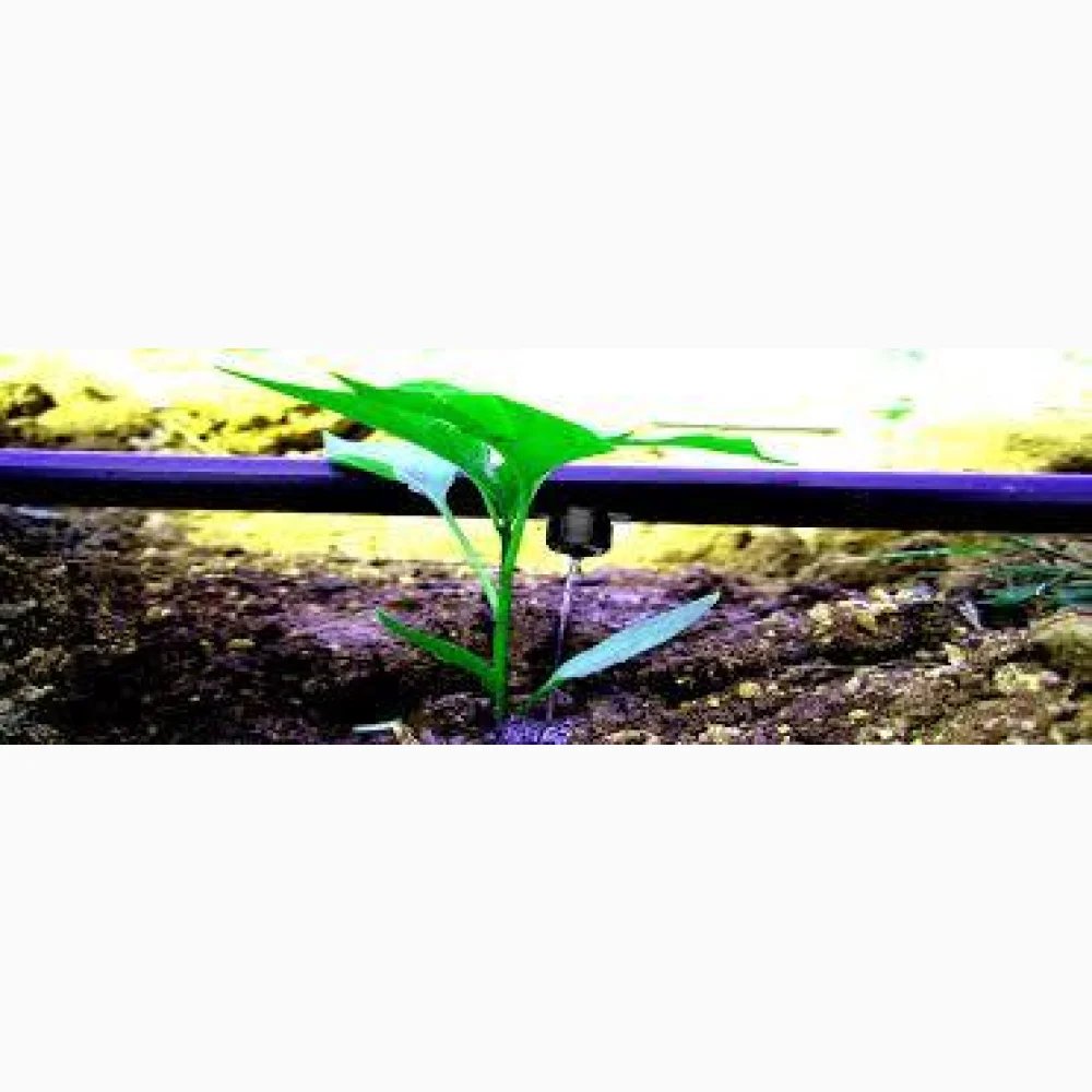 Lateral Pipe