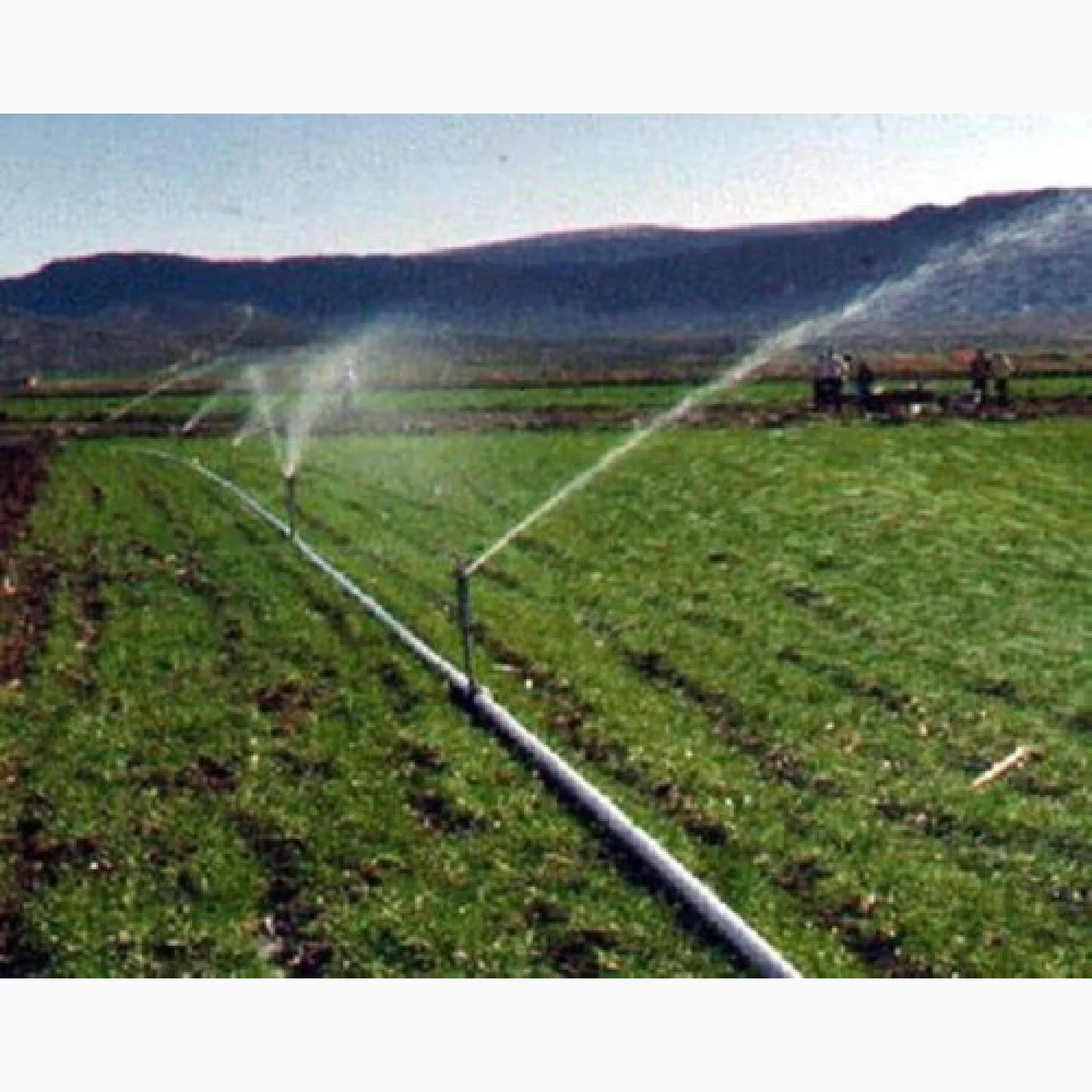 Sprinkler System